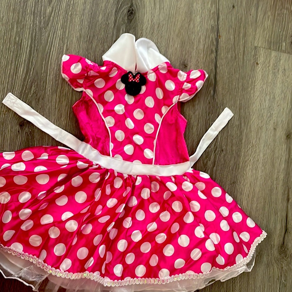 Official Minnie mouse costume